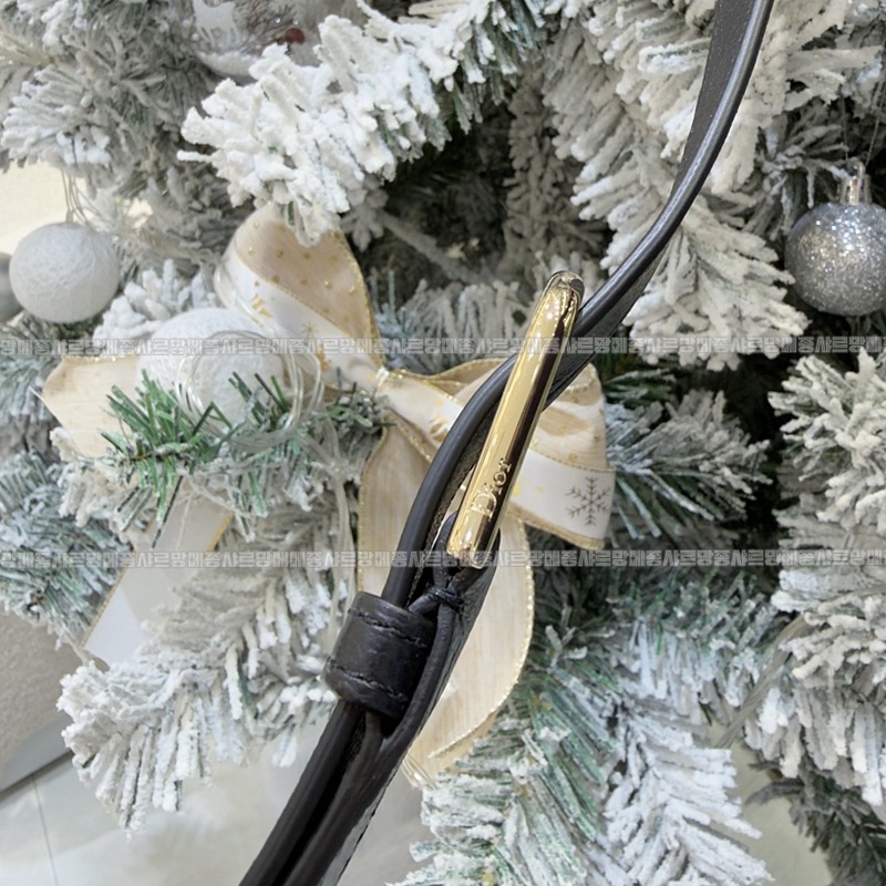 디올디올리백  20260402-143140-011루.jpg