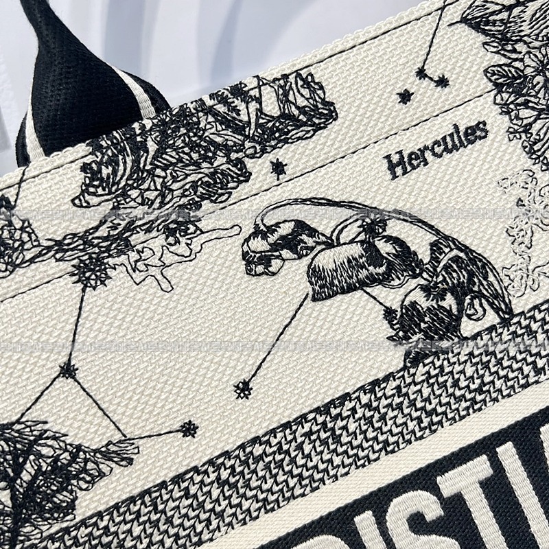 디올북토트백미디움  20260403-100001-011루.jpg