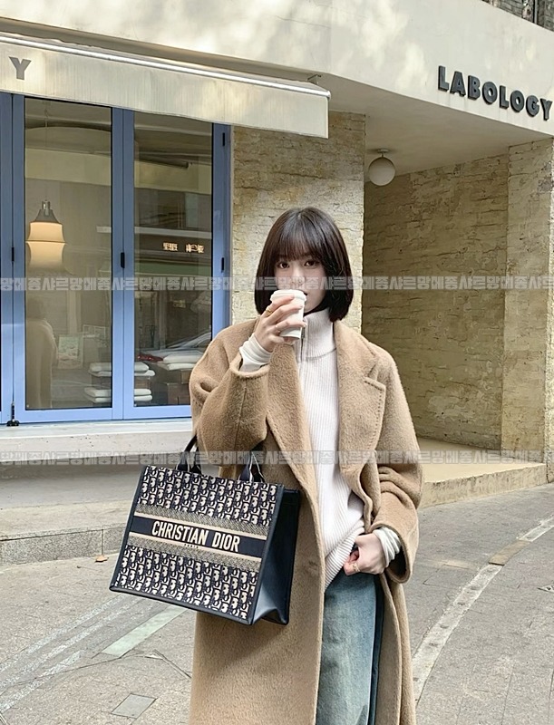 디올북토트백미디움  20260403-101938-017루.jpg