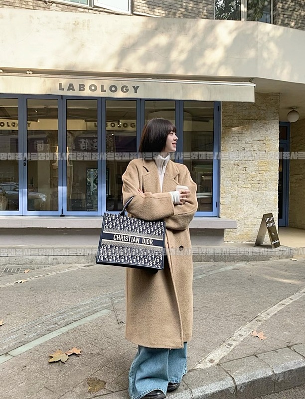 디올북토트백미디움  20260403-101938-019루.jpg