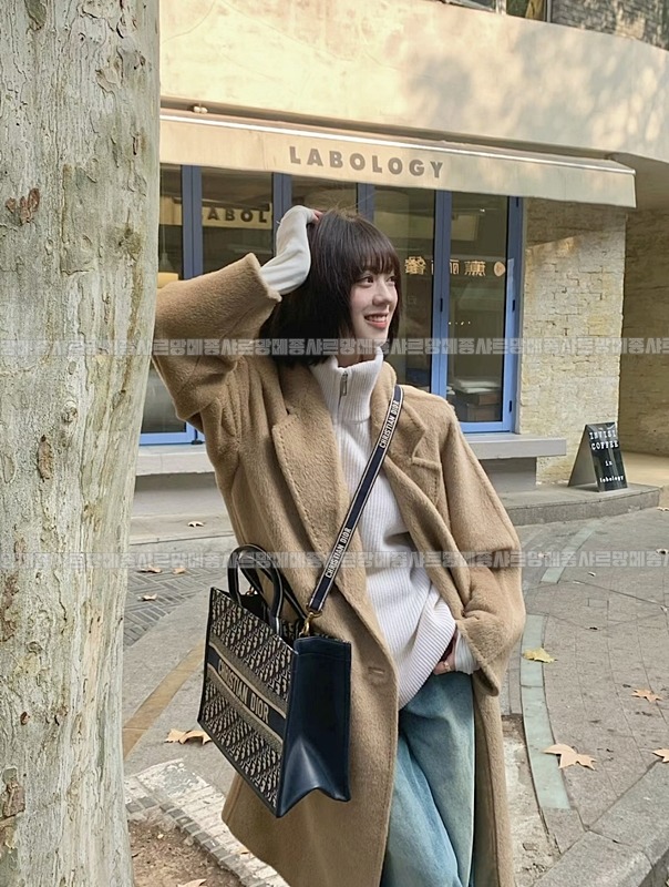 디올북토트백미디움  20260403-101939-020루.jpg