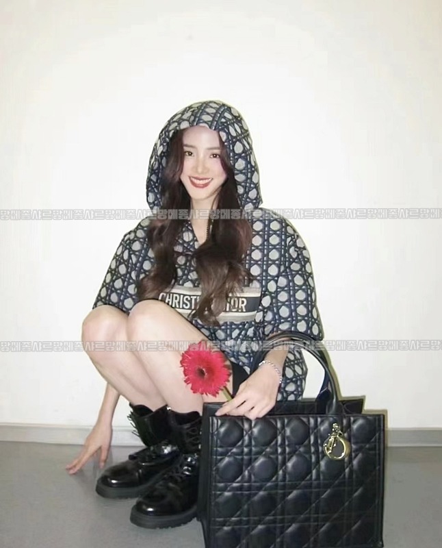 디올북토트백미디움  wsxc1775227659213_2루.jpg