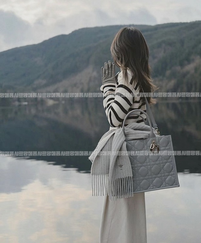 디올북토트백미디움  wsxc1775227734321_5루.jpg