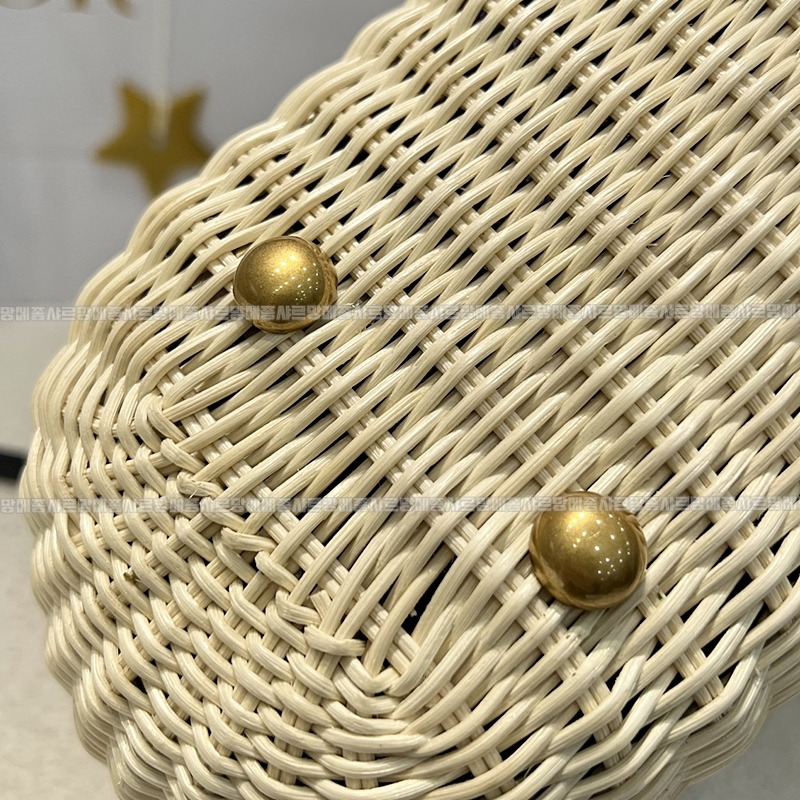 디올라탄바스켓백  20260403-163836-012루.jpg