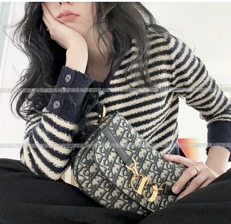 디올오블리크베사체스몰백  20260403-165110-016루.jpg