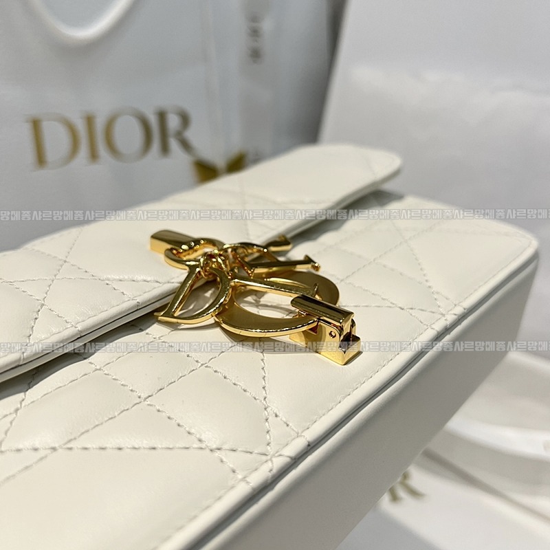 디올미스데이지미니백  20260404-154235-010루.jpg