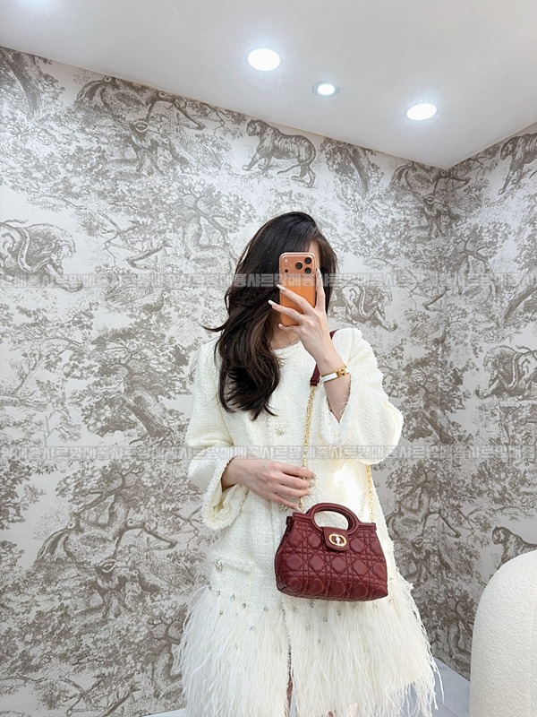 디올졸리탑핸들백  20260405-111119-012루.jpg