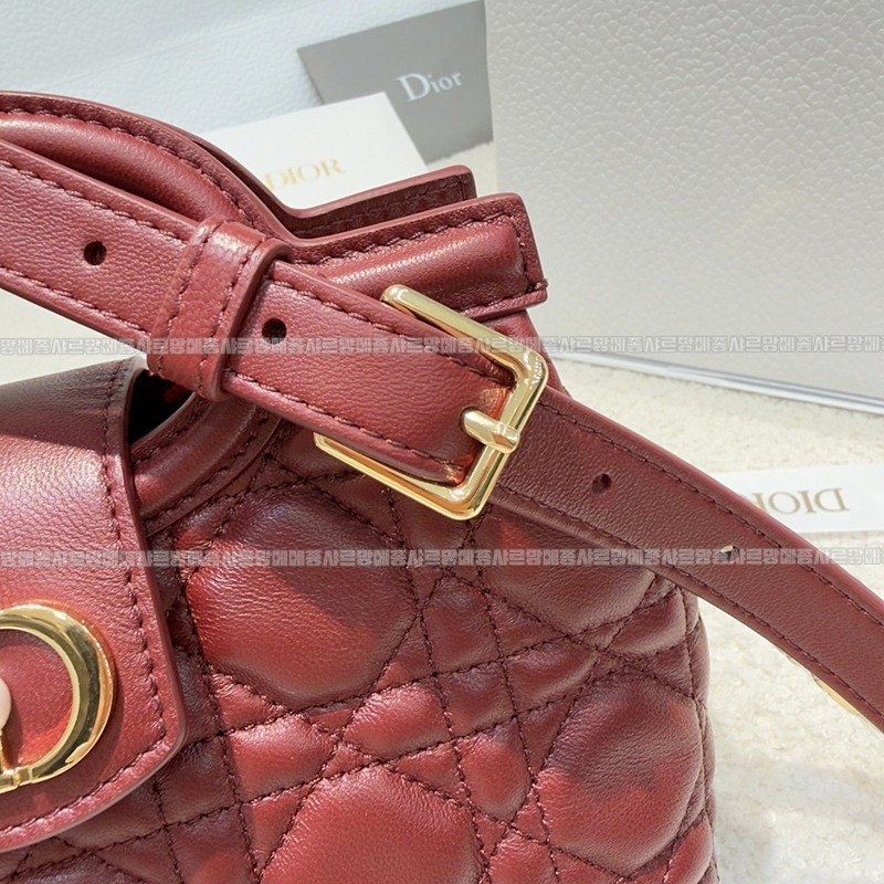 디올졸리탑핸들백  20260405-111119-011루.jpg