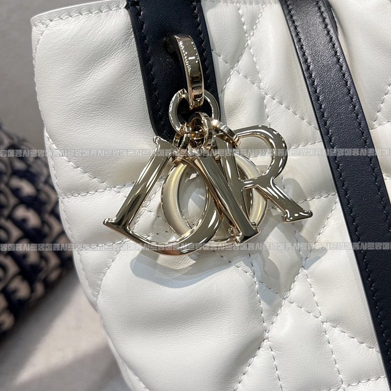 디올뚜주흐미디움버티컬토트백  20260407-110943-007루.jpg