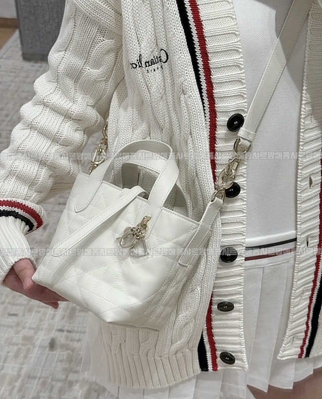 디올뚜주흐미디움버티컬토트백  20260407-111654-016루.jpg