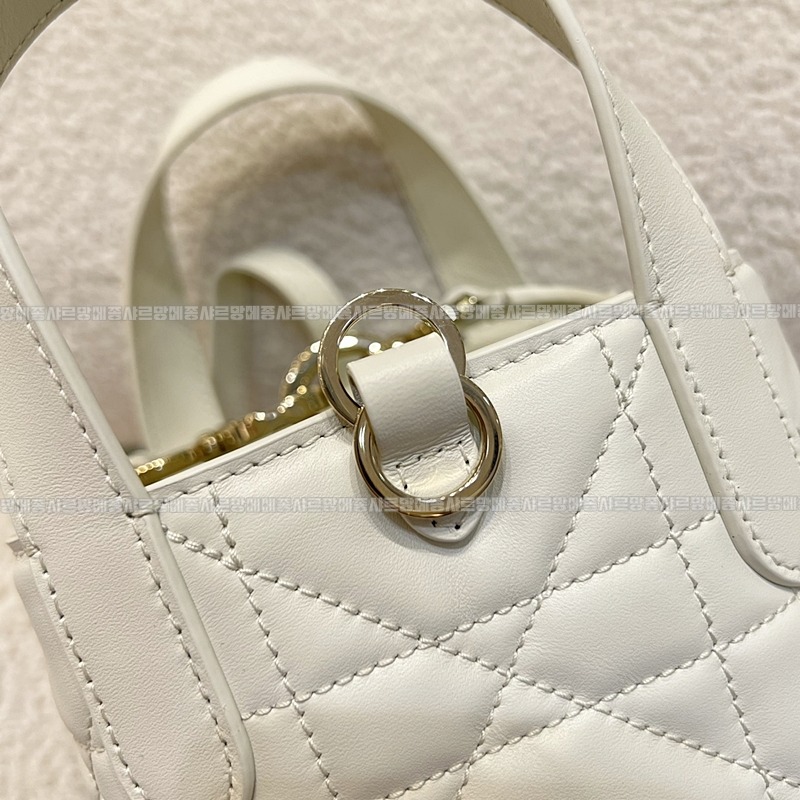 디올뚜주흐미디움버티컬토트백  20260407-111654-010루.jpg