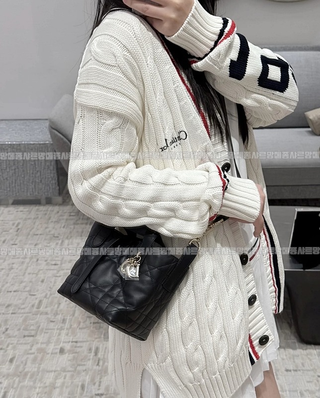 디올뚜주흐미니버티컬토트백  20260407-113724-022루.jpg