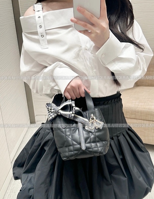 디올뚜주흐미니버티컬토트백  20260407-113724-023루.jpg