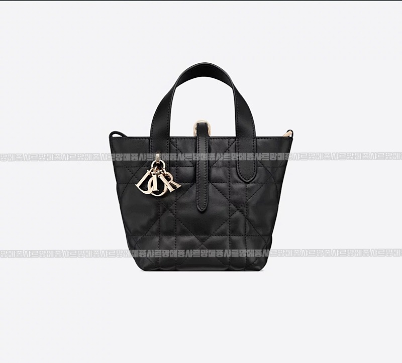 디올뚜주흐미니버티컬토트백  20260407-113723-014루.jpg