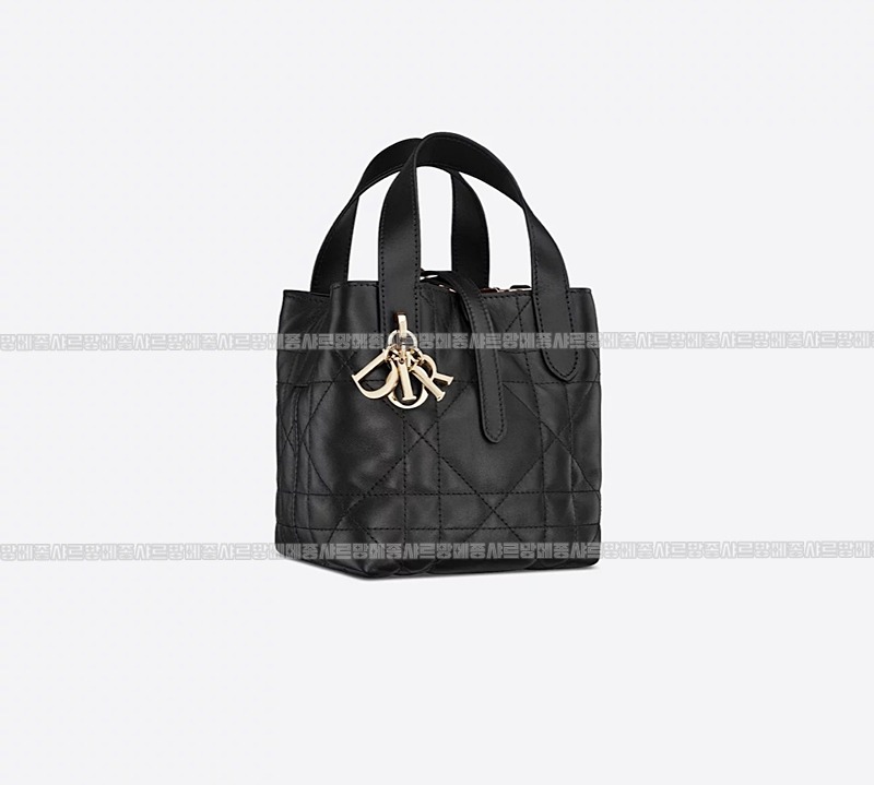 디올뚜주흐미니버티컬토트백  20260407-113723-013루.jpg