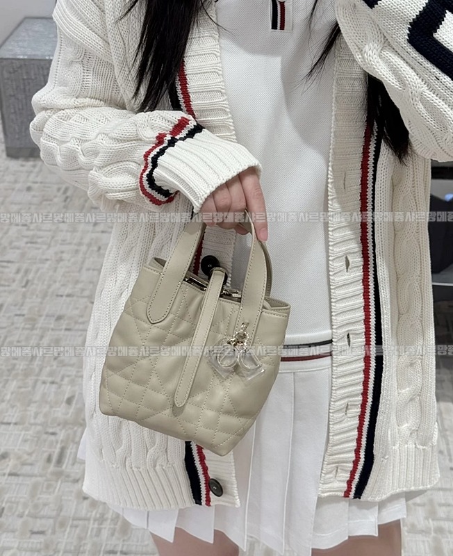 디올뚜주흐미니버티컬토트백  20260407-114054-019루.jpg