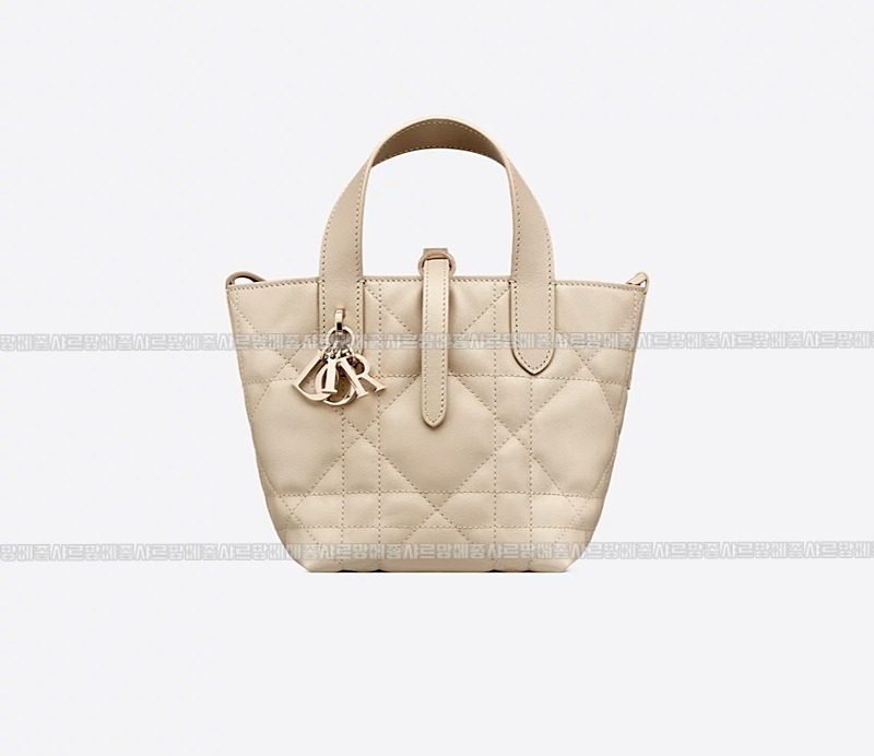 디올뚜주흐미니버티컬토트백  20260407-114053-014루.jpg