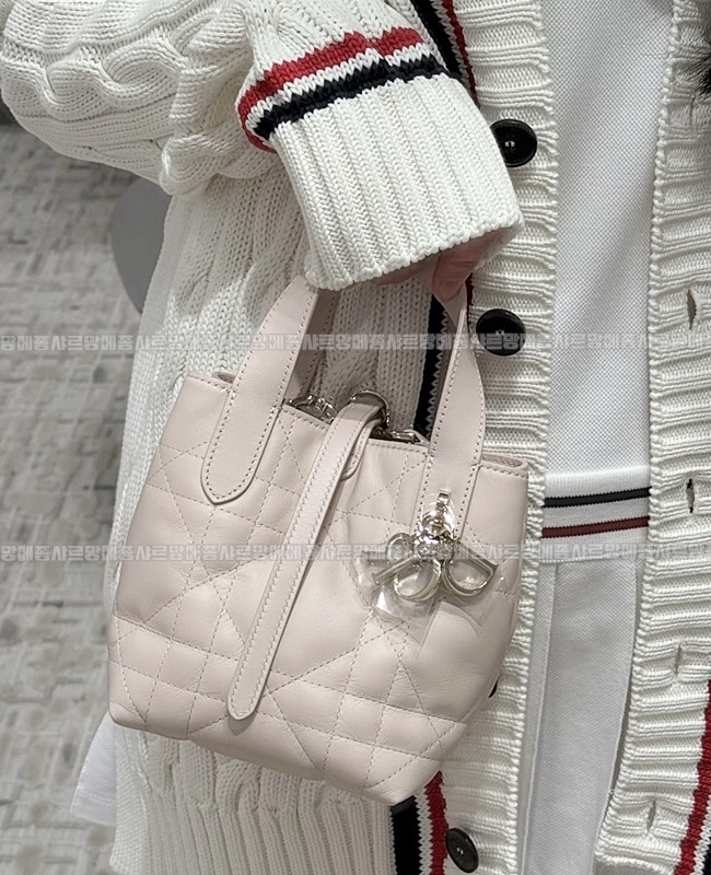 디올뚜주흐미니버티컬토트백  20260407-114318-022루.jpg