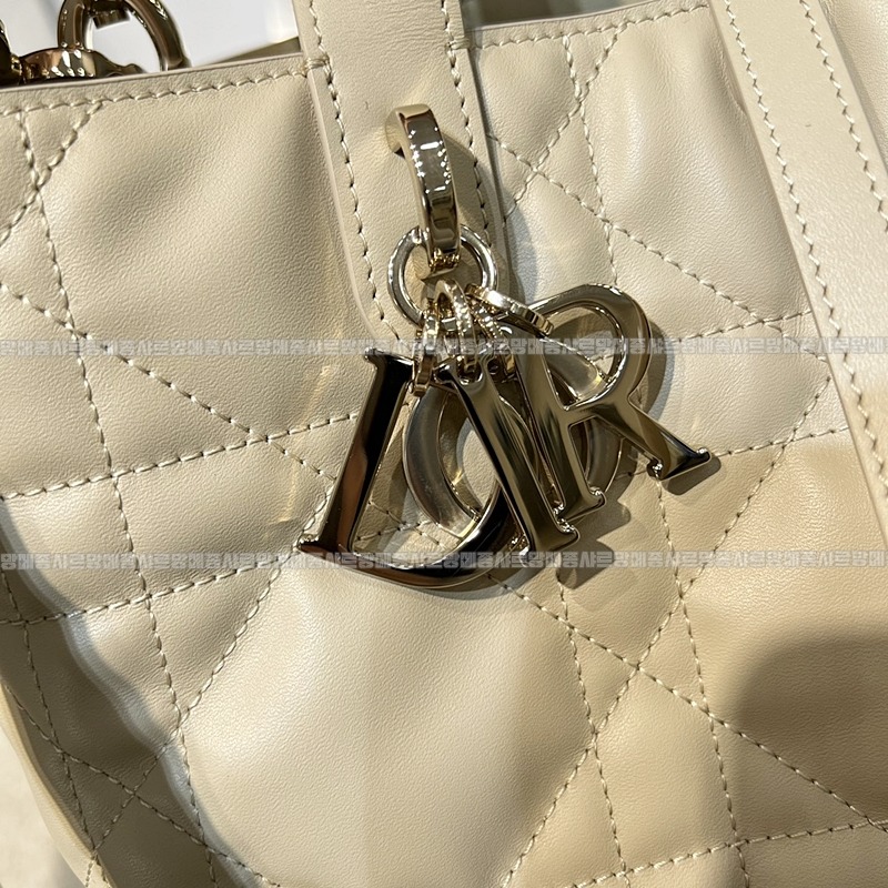 디올뚜주흐미디움버티컬토트백  20260407-142843-002루.jpg