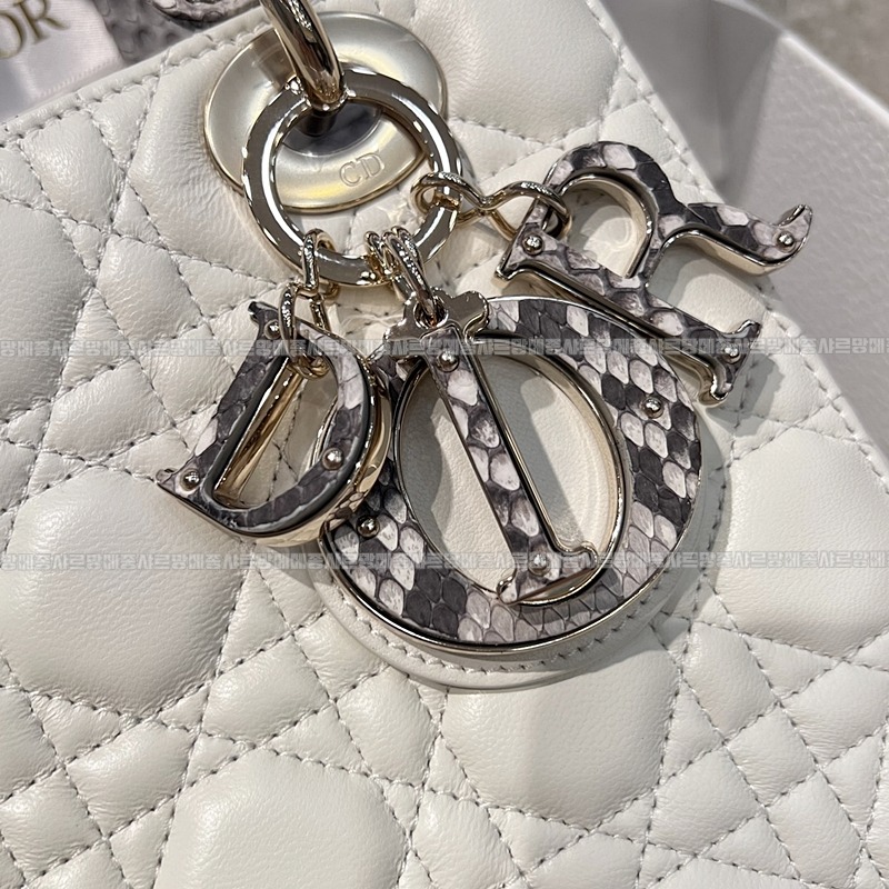 레이디디올마이ABC스몰백  wsxc1775644235147_2루.jpg