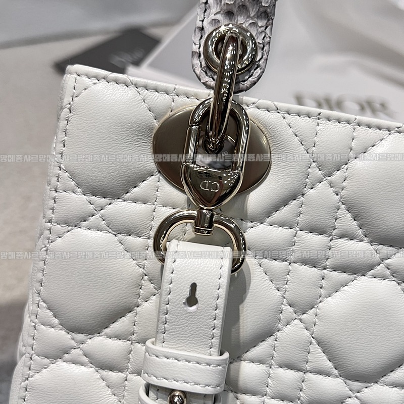 레이디디올마이ABC스몰백  wsxc1775644238350_5루.jpg