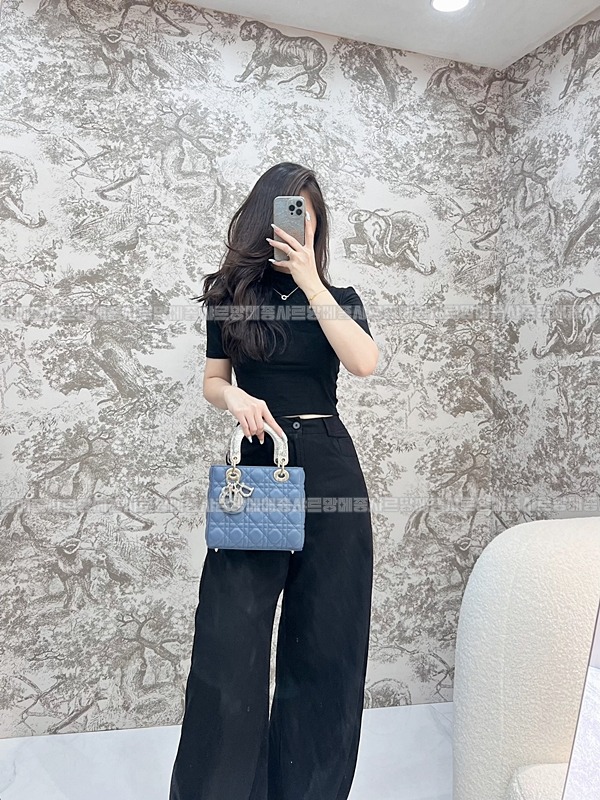 레이디 디올 마이 ABC 스몰백20260408-130610-015루.jpg