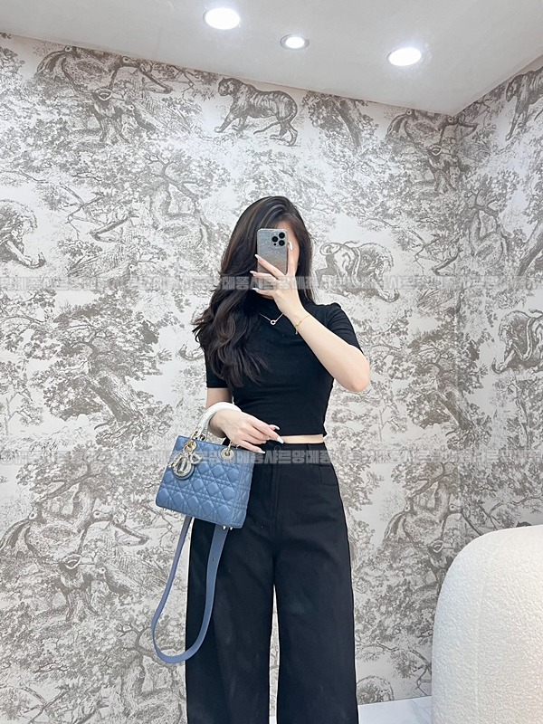 레이디 디올 마이 ABC 스몰백20260408-130611-017루.jpg