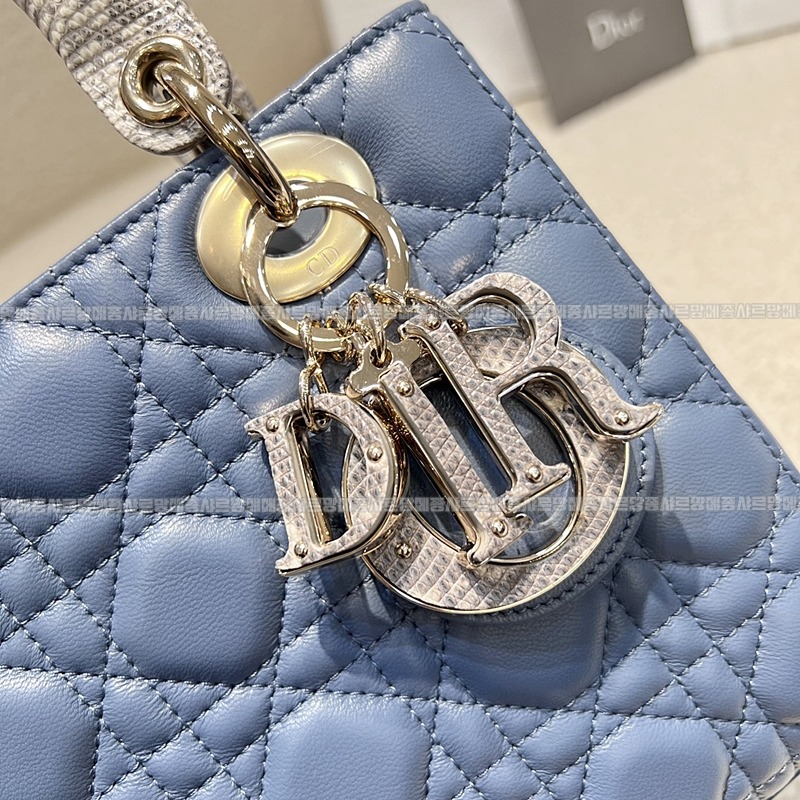 레이디 디올 마이 ABC 스몰백20260408-130609-006루.jpg