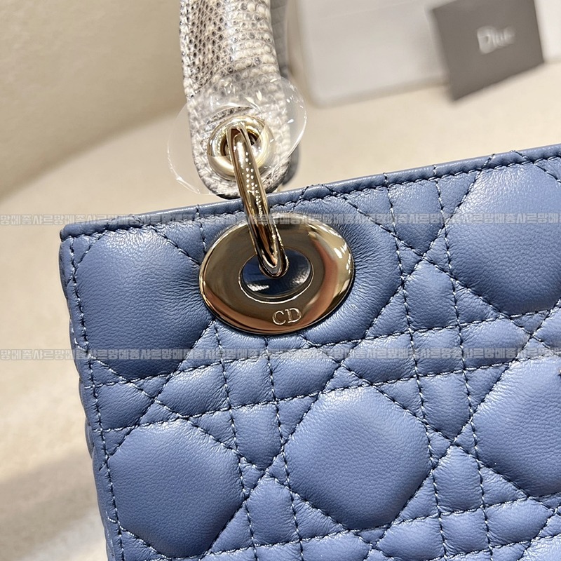 레이디 디올 마이 ABC 스몰백20260408-130609-010루.jpg