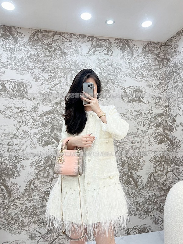 레이디 디올 백 미니20260408-131023-018루.jpg