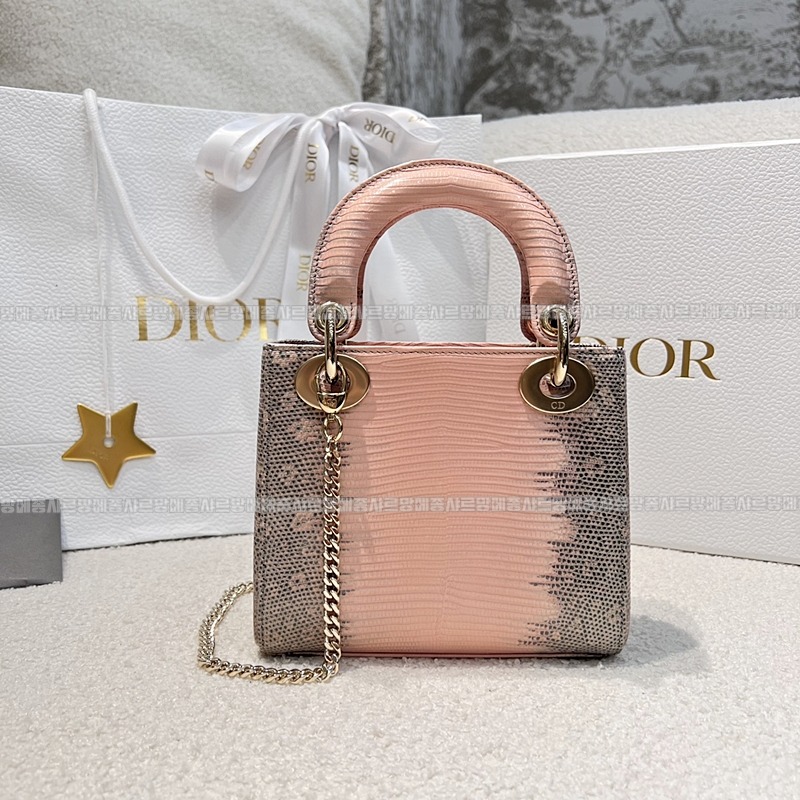 레이디 디올 백 미니20260408-131020-002루.jpg