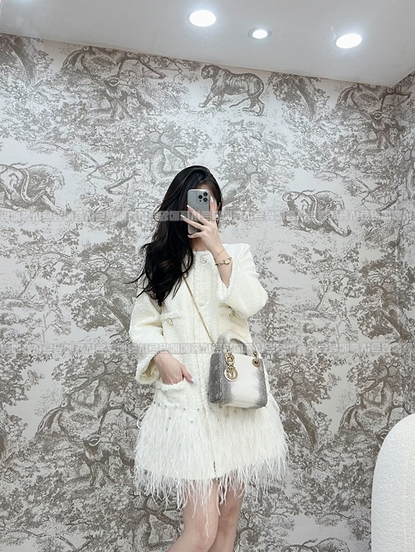 레이디 디올 백 미니20260408-131441-017루.jpg