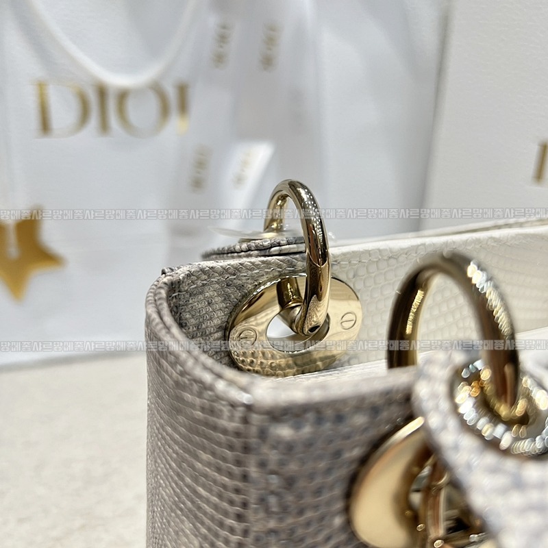 레이디 디올 백 미니20260408-131440-013루.jpg