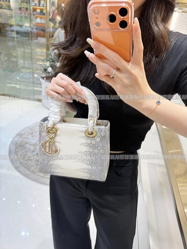 레이디 디올 마이 ABC 스몰백20260408-132134-018루.jpg