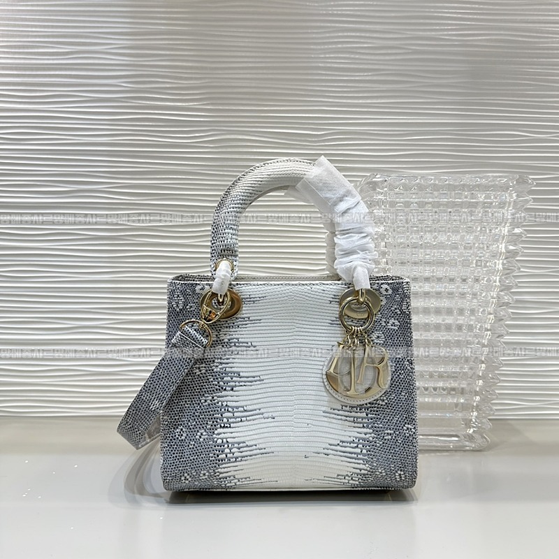 레이디 디올 마이 ABC 스몰백20260408-132132-001루.jpg