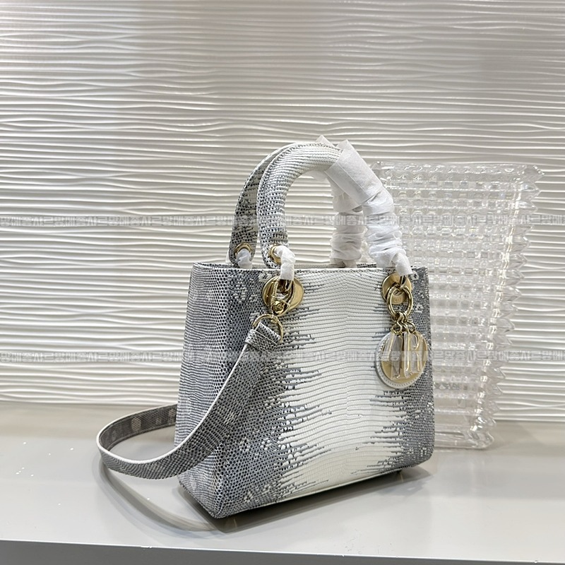 레이디 디올 마이 ABC 스몰백20260408-132132-003루.jpg