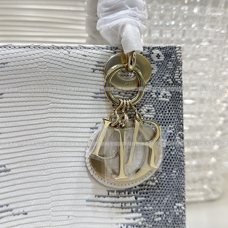 레이디 디올 마이 ABC 스몰백20260408-132132-006루.jpg