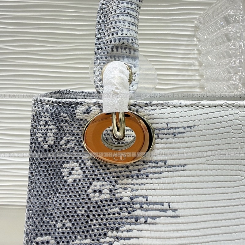 레이디 디올 마이 ABC 스몰백20260408-132132-005루.jpg