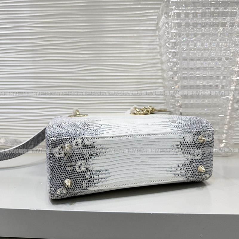 레이디 디올 마이 ABC 스몰백20260408-132132-004루.jpg