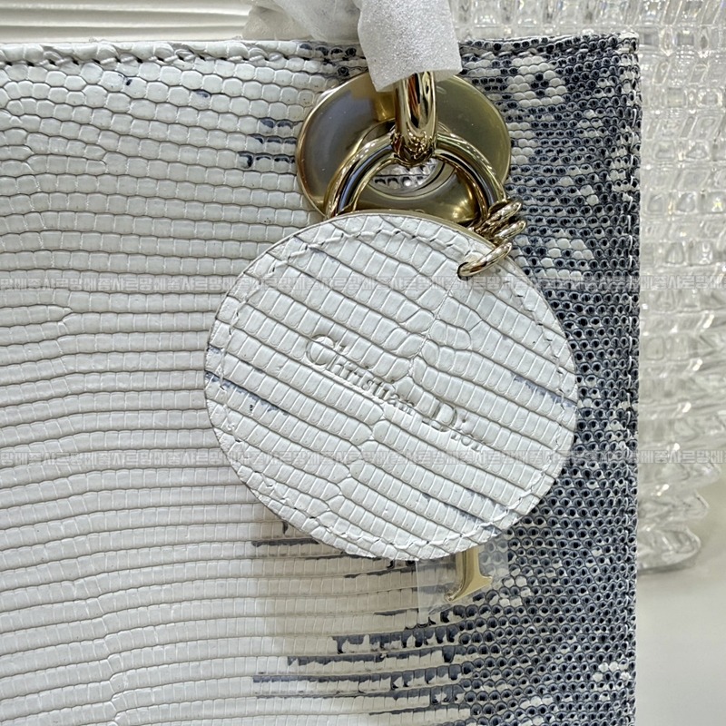 레이디 디올 마이 ABC 스몰백20260408-132132-007루.jpg