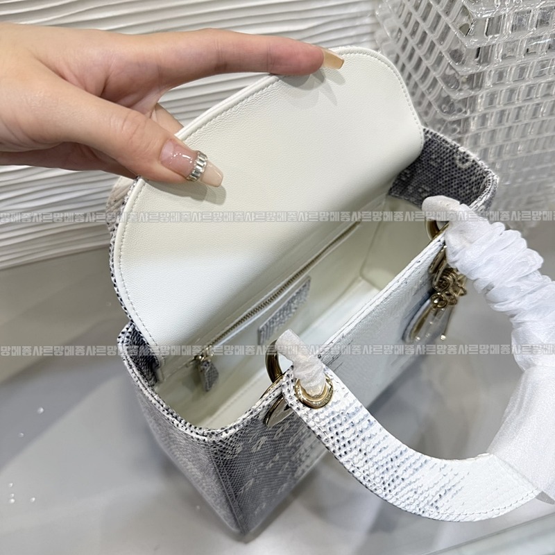 레이디 디올 마이 ABC 스몰백20260408-132132-008루.jpg