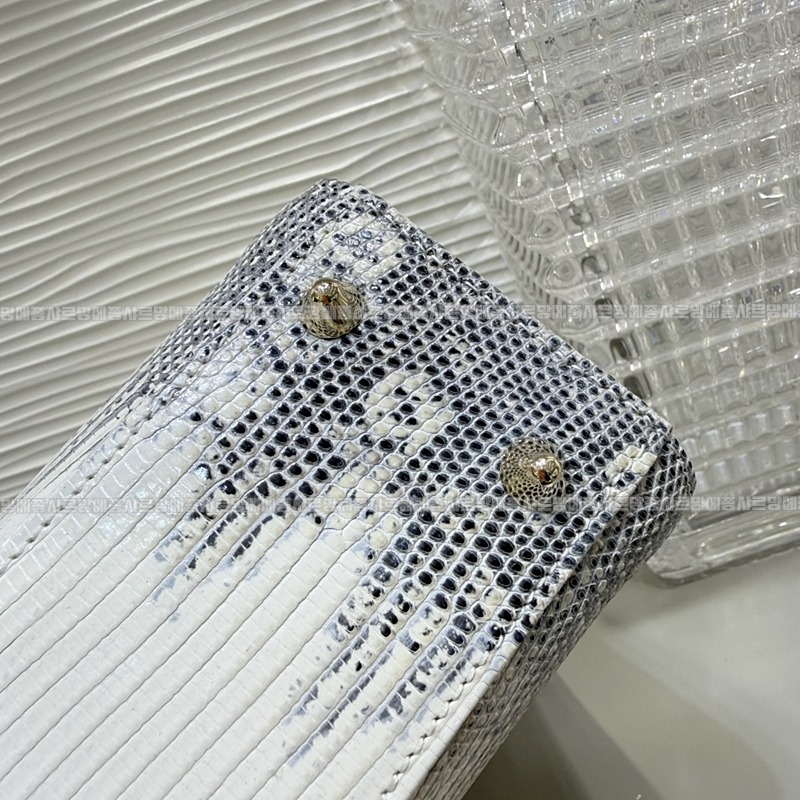 레이디 디올 마이 ABC 스몰백20260408-132133-015루.jpg