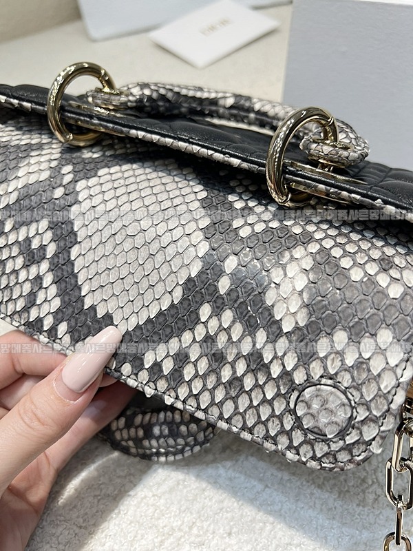 레이디디조이백  20260408-133234-011루.jpg