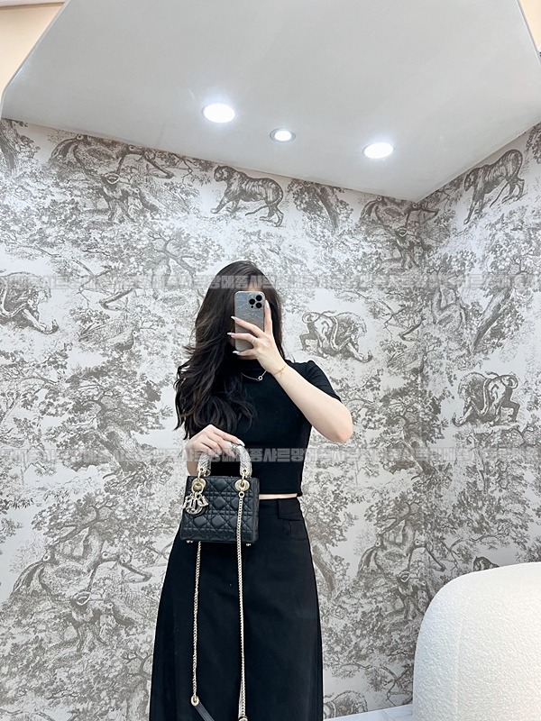 레이디 디올 백 미니  20260408-134350-016루.jpg