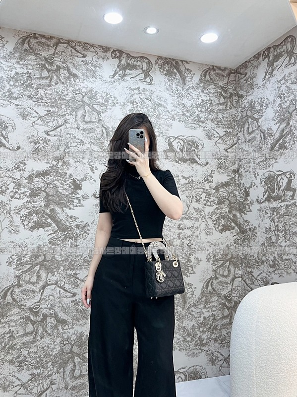 레이디 디올 백 미니  20260408-134351-018루.jpg