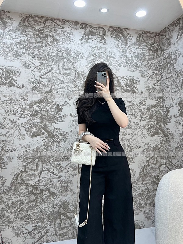 레이디 디올 백 미니  20260408-134653-016루.jpg