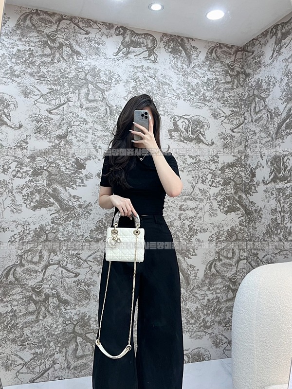 레이디 디올 백 미니  20260408-134653-018루.jpg
