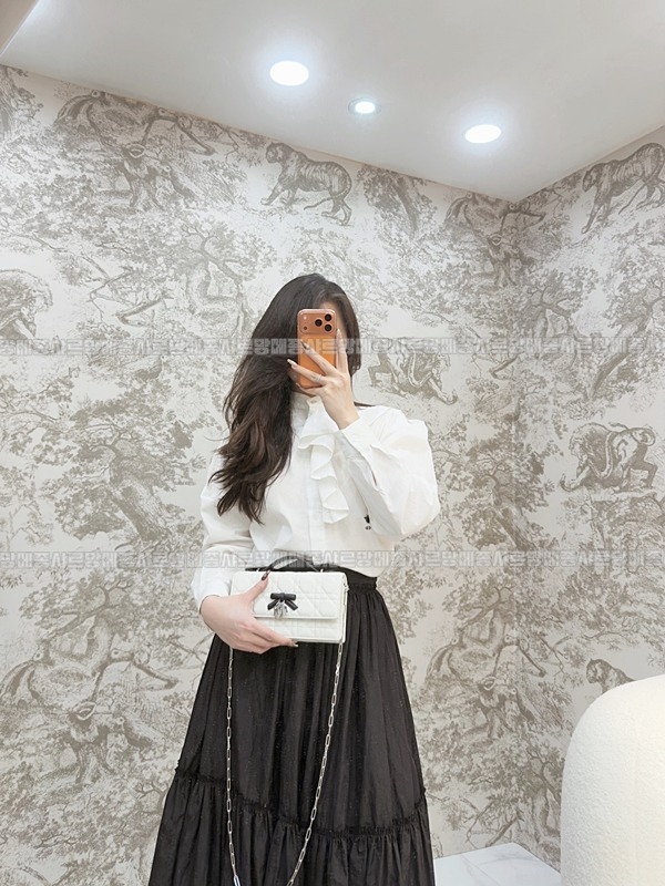 디올마이디올미니백  20260409-173721-017루.jpg