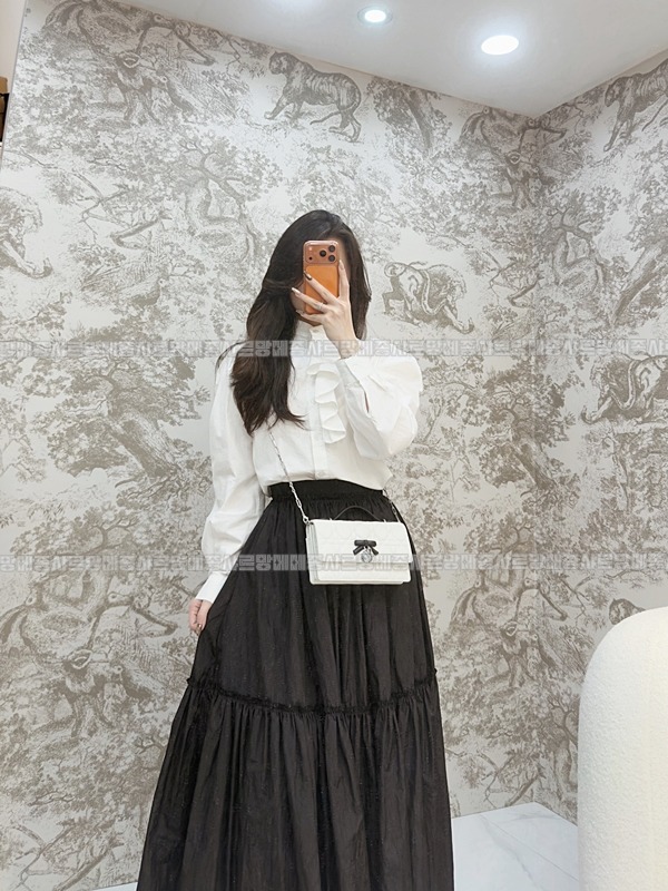 디올마이디올미니백  20260409-173721-015루.jpg