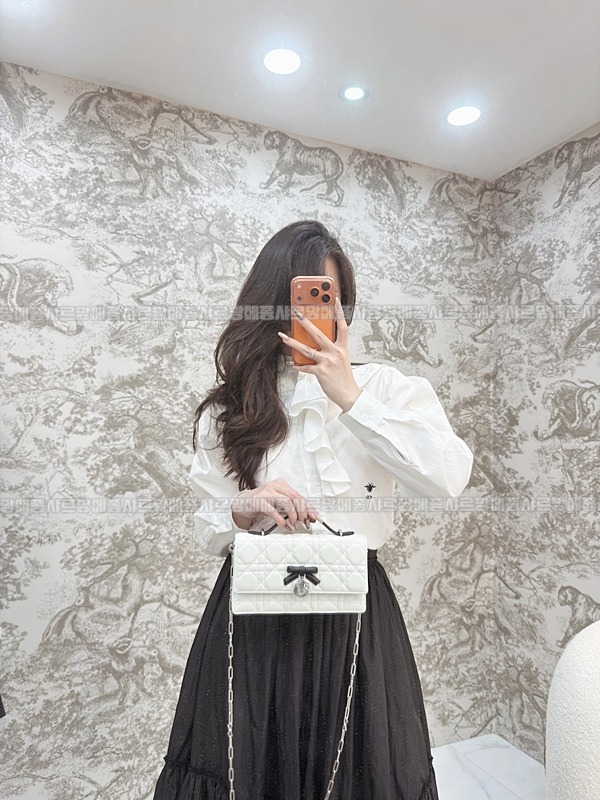 디올마이디올미니백  20260409-173721-016루.jpg